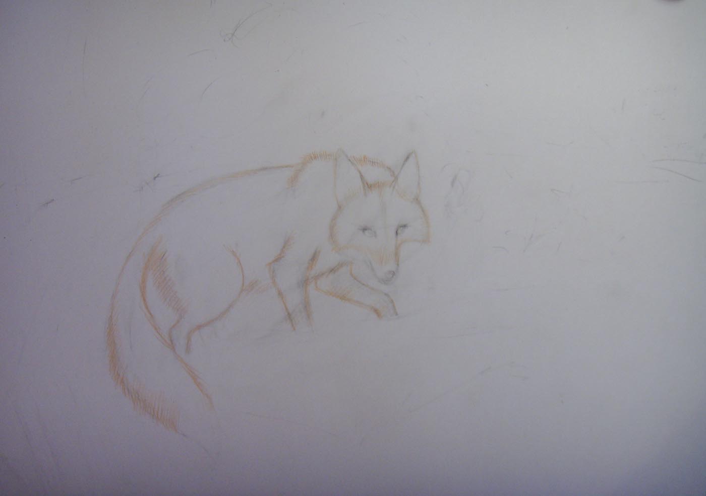 Шерсть лисы рисунок карандашом