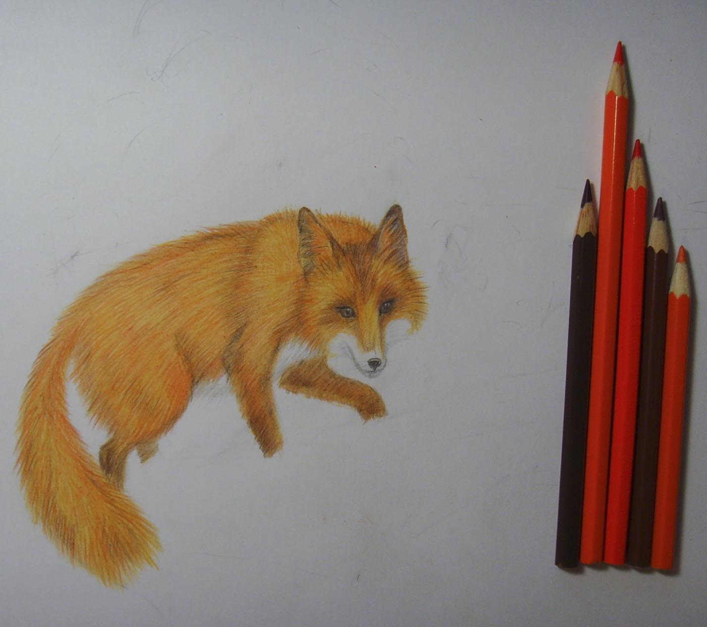 Лиса рисунок цветными карандашами для детей