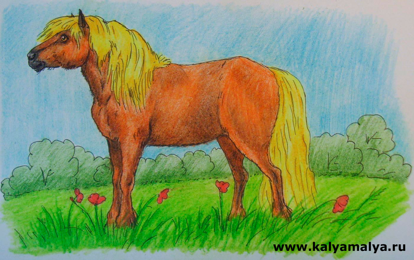 Лошадь рисунок для детей